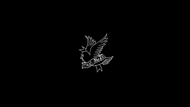 illuminated, cut out, invertebrate, night, indoors, animal themes, 1080P, plant, no people, copy space, crybaby, black background, close-up, animal representation