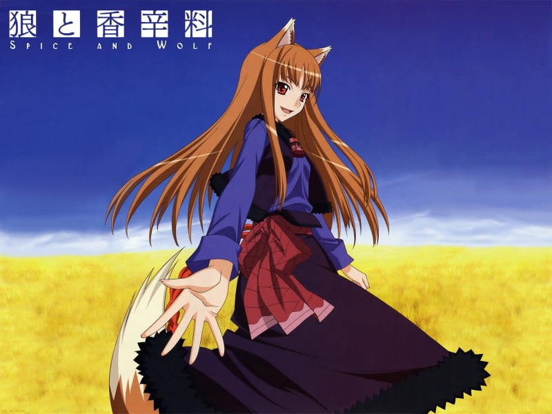 elegance, Smile, Red Eyes, adult, full length, Holo (Spice and Wolf), fantasy, witch, Sky, Nature, clothing, plant, people, Spice and Wolf, Tail, grass