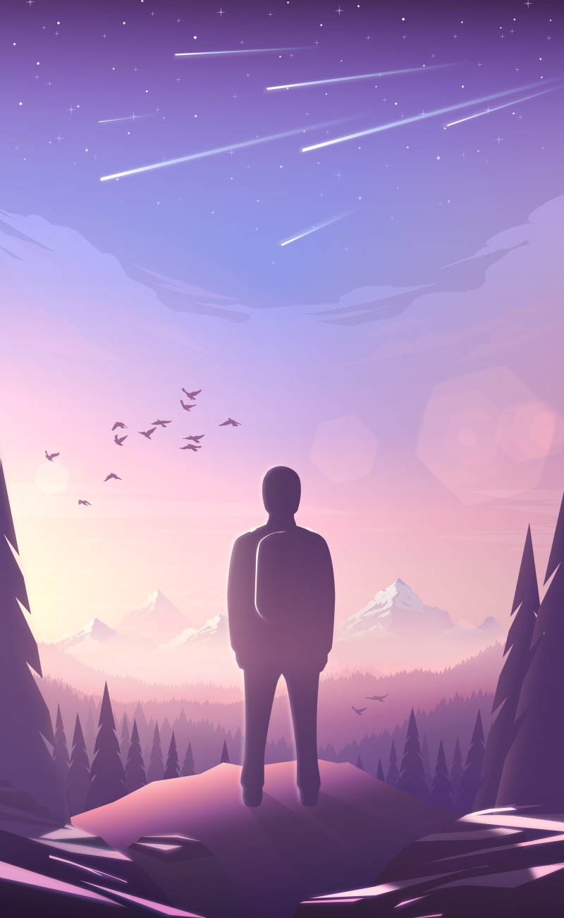 birds, bird, portrait display, stars, beauty in nature, forest, trees, silhouette, rear view, environment, men, 4K, cloud - sky, scenics - nature, rock