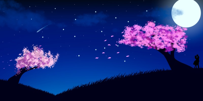 Sakura blossom, pink, wind, landscape, night, grass, clouds, kissing, sky, night sky, Moon, shooting stars, cherry blossom, blue, stars, 8K, couple