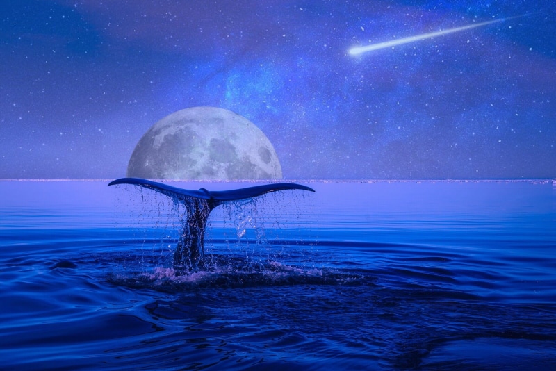 tranquil scene, breach, beauty in nature, digital art, breaching, astronomy, water, galaxy, stars, 1080P, shooting star, space, sky, space and astronomy