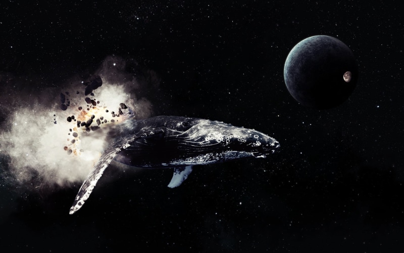 comet, stars, 720P, space, Moon, planet, whale