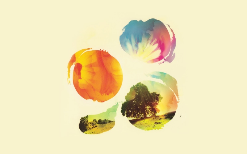 tycho, vulnerability, variation, copy space, nature, wellbeing, indoors, close-up, multi colored, food and drink, studio shot, illust, cut out, food, cover