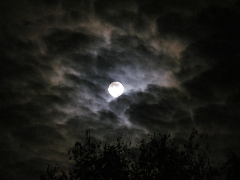 circle, sky, space, nature, full moon, shadow, plant, eclipse, twilight, clouds, tree, blue, outdoors, black, tranquility, 4K, majestic, tranquil scene