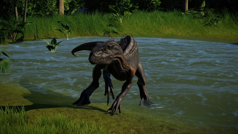 mammal, no people, domestic, 1080P, pets, vertebrate, Jurassic World, herbivorous, nature, Indoraptor, domestic animals, water, mouth open, day, animal wildlife