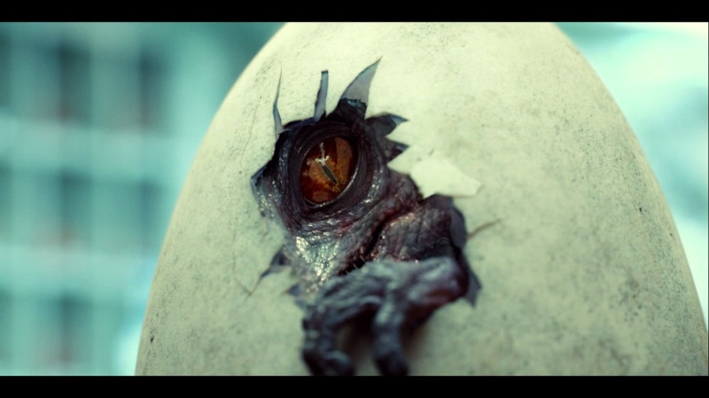 animals in the wild, egg, vertebrate, 720P, close-up, insect, Jurassic World, inside, transfer print, day, auto post production filter, focus on foreground
