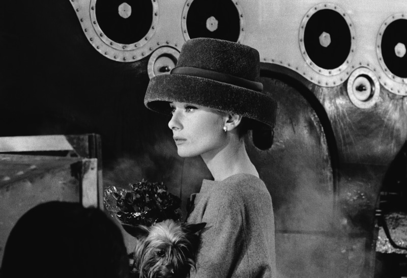 day, real people, lifestyles, headshot, young women, people, 4K, leisure activity, dog, monochrome, clothing, women, looking away, Audrey Hepburn, mammal