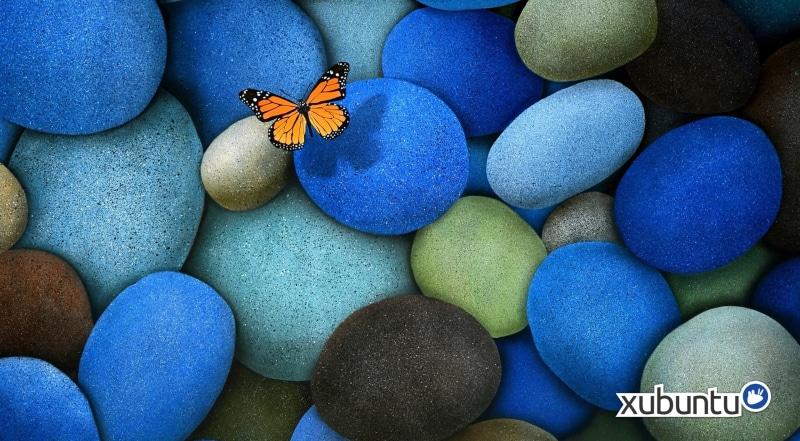 2K, pebble, Linux, large group of objects, insect, xfce, backgrounds, Butterfly, indoors, animal wildlife, one animal, xubuntu, full frame, close-up, rock