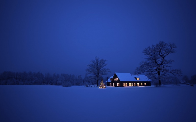1080P, Christmas Tree, snow, night, house, winter, blue