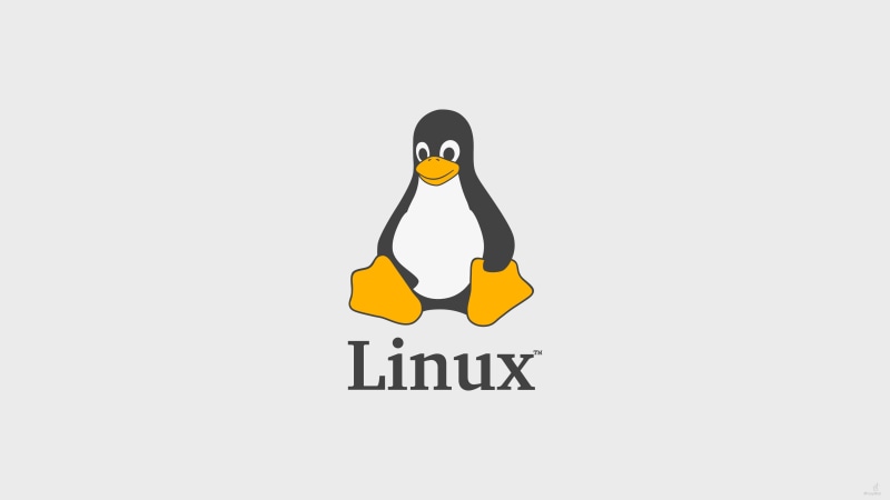 Linux, communication, cut out, hand, paper, sign, human representation, 4K, Tux, human hand, white background, indoors, studio shot, copy space, social issues