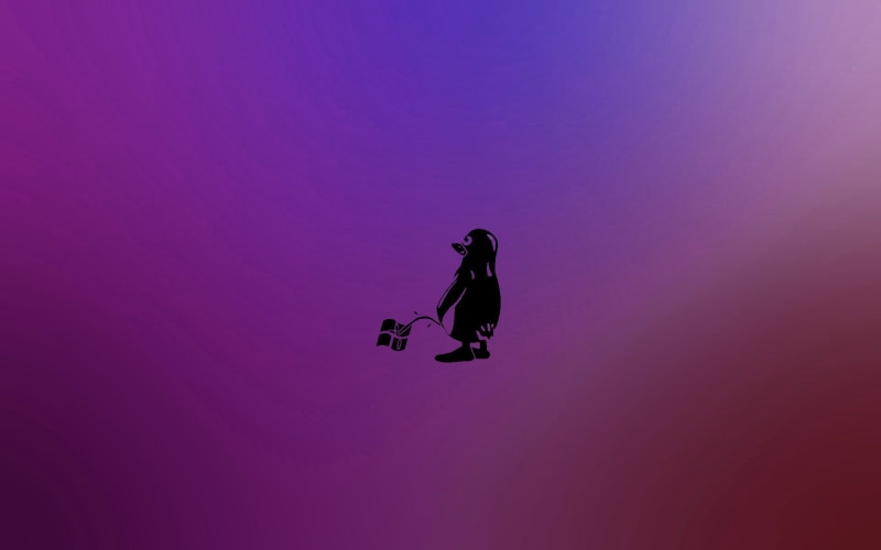 sport, silhouette, side view, copy space, full length, winter, Tux, real people, purple, motion, pink color, one person, 1080P, outdoors, leisure activity