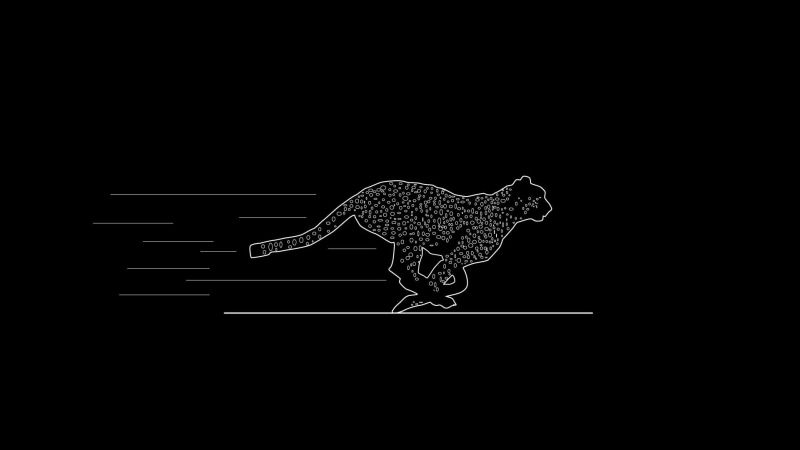 minimalism, 1080P, cross, communication, animal wildlife, indoors, cat, cut out, animal, studio shot, animal themes, colored, art and craft, creativity