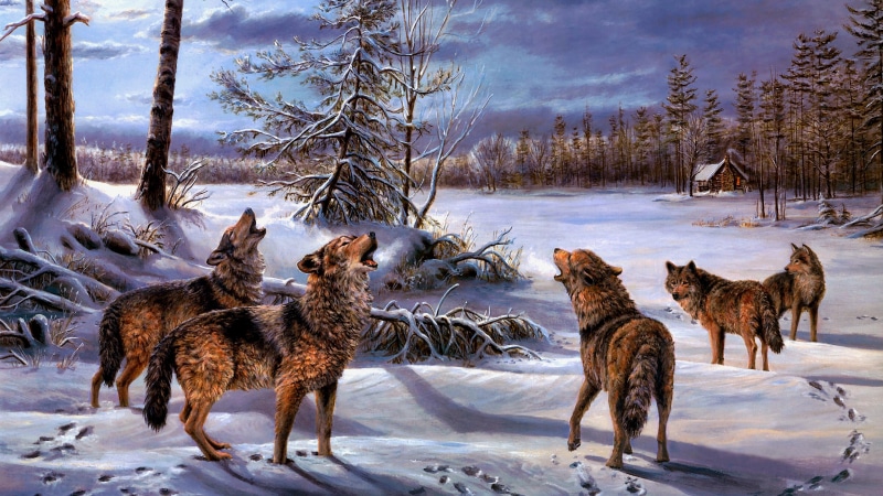 freezing, wildlife, painting art, house, landscape, winter, wolf, wilderness, sky, painting, woodland, forest, wolves, wolf howling, howling, snow, artwork