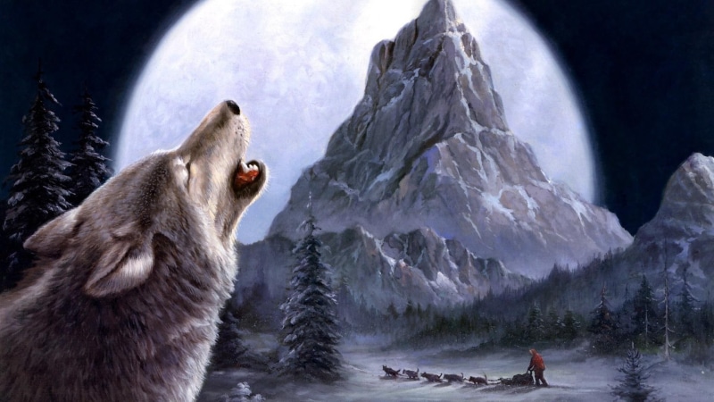 snow, animals, 1080P, wolf, moon, mountain, dogs, sled, winter, howling