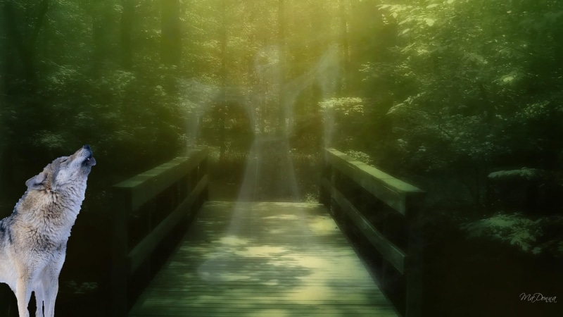 woman, mythical, wolf, 1080P, bridge, green, fantasy, mystical, forest, 3d and abstract, ghost, gray, howling, light, spirits