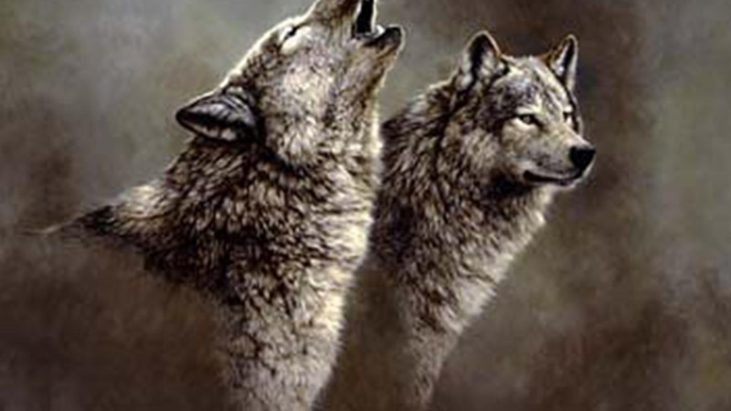 fantasy, wildlife, wolves howling, 1080P, pups, animals, nature, wolf, song, 3d and abstract, grey wolf