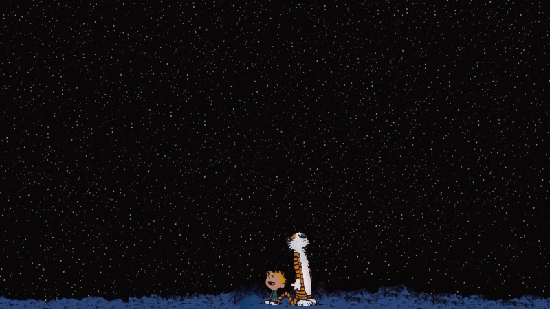 child, character, motion, people, tiger, winter, space, comics, 1080P, real people, star - space, low angle view, artwork, cartoon, architecture, lifestyles