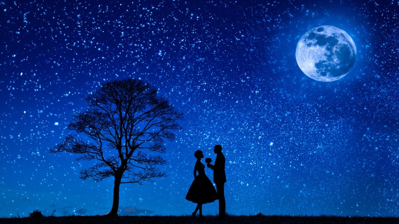 lovers, full length, night, galaxy, engagement, valentines day, flirt, proposal, full moon, man, 2K, wife, people, moonlight, outdoors, romance, flower