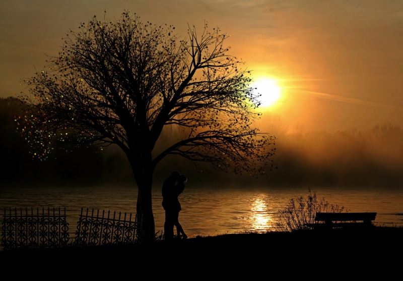 marriage proposal, leisure activity, meeting, pair, plant, beauty in nature, lovers, silhouette, appointment, bank, love, landscape, engagement, relationship