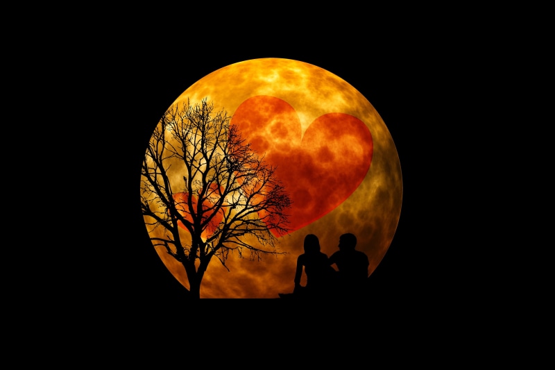 mood, moon, eclipse, evening, circle, astronomy, nature, shape, silhouette, man, people, night, group, outdoors, sphere, atmosphere, tree, moonlight, sky