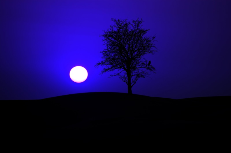 night, mystical, beauty in nature, tranquil scene, photo, branches, moon, full moon, full, no people, land, landscape, outdoors, 4K, dark, moonlight, night sky
