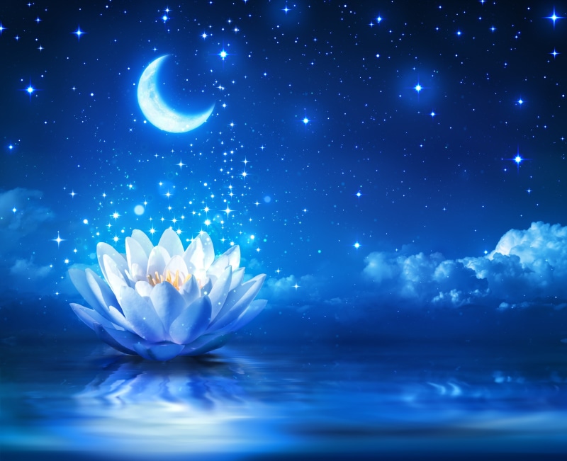 plant, crescent, cloud - sky, star - Space, vulnerability, backgrounds, planet - Space, fragility, flowering plant, glowing, astronomy, nature, no people