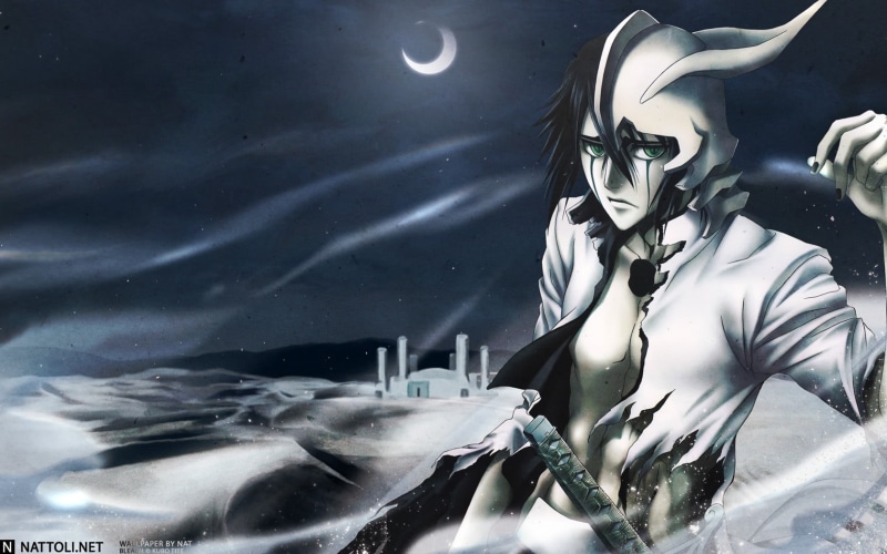 motion, no people, night, sky, moon, beauty in nature, Bleach, 720P, creativity, Ulquiorra Cifer, Espada, silver colored, character, art and craft, animal wildlife