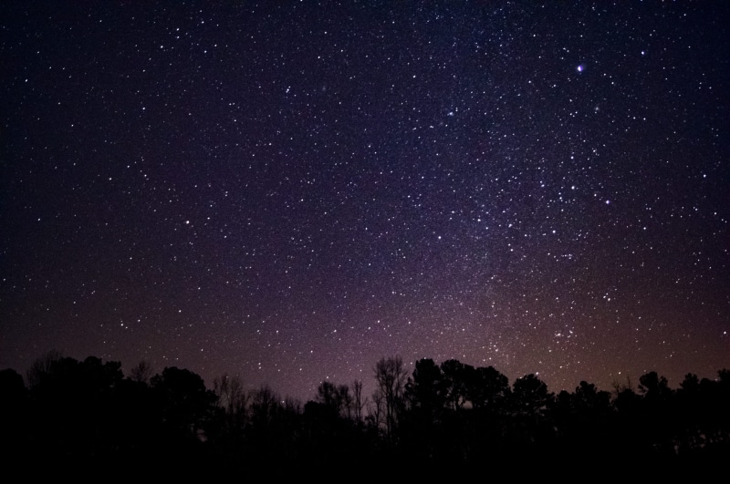 no people, shower, night, beauty in nature, space, tree, plant, tranquility, landscape, star field, silhouette, gemini, astronomy, galaxy, trees, meteor