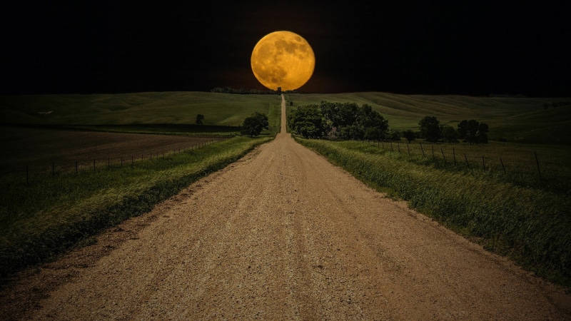 night, beauty in nature, field, planetary moon, 1080P, scenics - nature, land, sky, supermoon, astronomical object, landscape, plant, horizon, space, outdoors