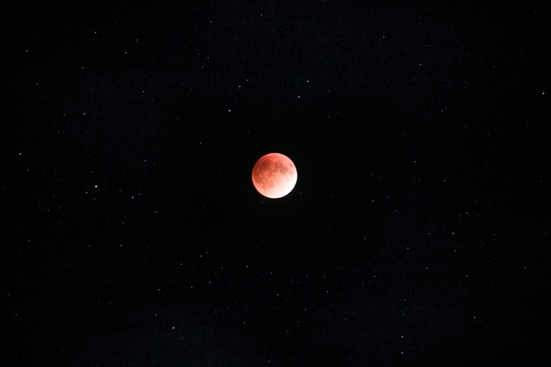 moonlight, large, orange, star - space, shape, eclipse, blood moon, nature, natural phenomenon, red, star, glow, color, sphere, tranquility, astronomical