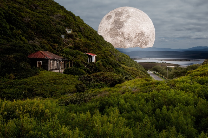 full moon, astronomy, no people, round, supermoon, tree, architecture, sea, outdoors, 5K, nature, distance, eerie, universe, daytime, house, month, celestial