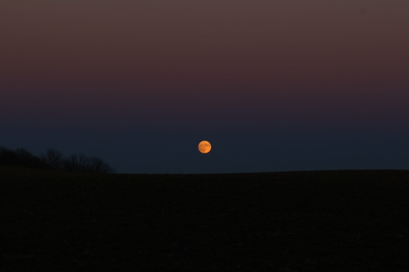 2K, scenics - nature, sky, full moon, non-urban scene, supermoon, copy space, plant, astronomy, space, dark, tranquil scene, beauty in nature, land, nature