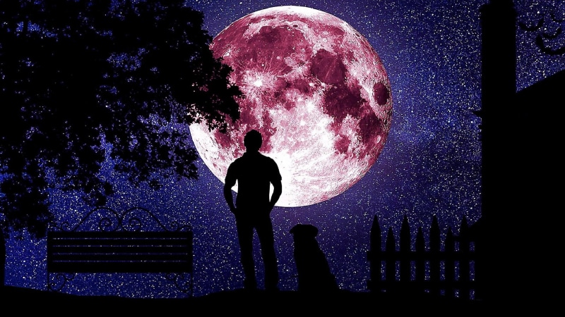 galaxy, fence, purple, bench, silhouette, space, full moon, lifestyles, standing, digital composite, outdoors, astronomy, starry night, stars, moon, night sky