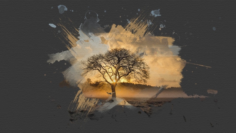 beige, accidents and disasters, canvas, lone, dirty, paint, nature, sunset, illustration, textured effect, painted Image, textured, digital, beauty in nature