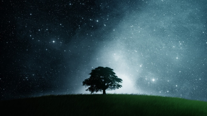 hd, dark, epic, Field, 1080P, Cool, nature, tree, art, lonely, awesome