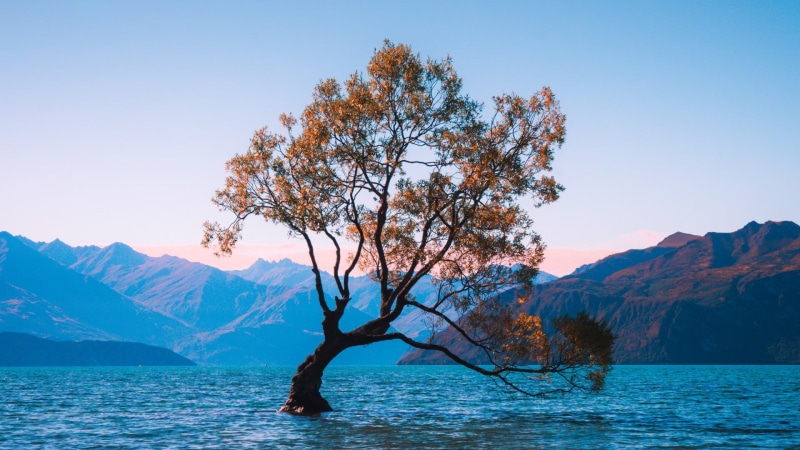 mountain range, non-urban scene, tranquil scene, remote, day, idyllic, sky, lone tree, 1080P, clear sky, beauty in nature, tranquility, outdoors, lonely tree