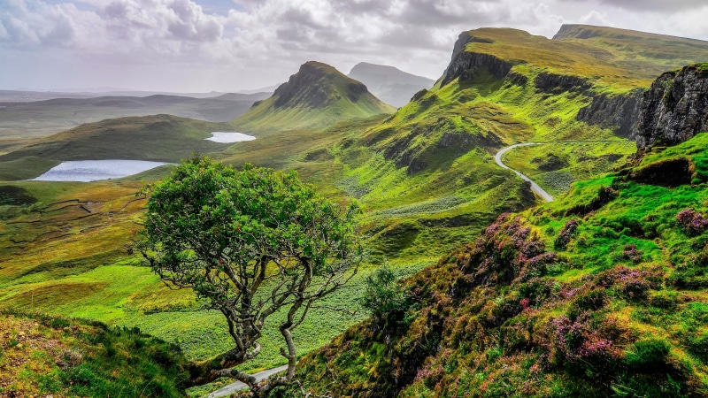 green hills, nature, 4K, lakes, europe, hills, lone tree, united kingdom, mount scenery, isle of skye, landscape, gb, hill, scotland, lonely tree, ponds