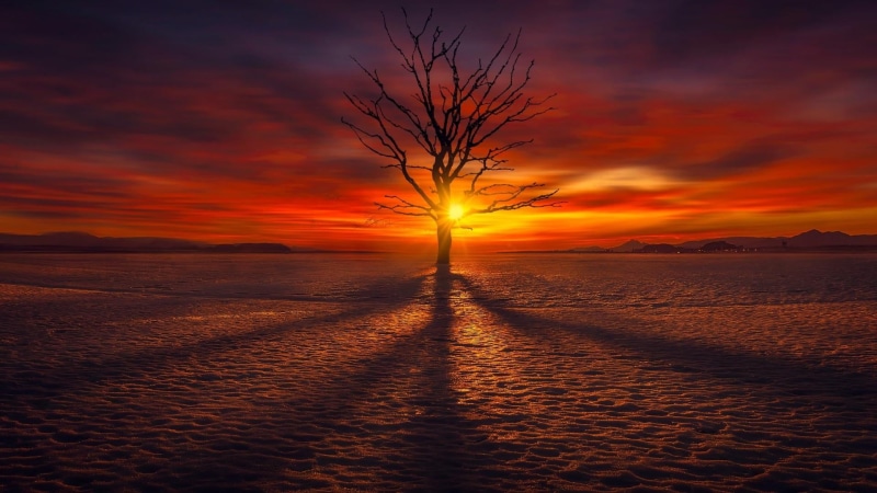 dramatic sky, orange color, nature, lone tree, land, afterglow, water, sea, evening, red sky, 1080P, luminosity, horizon, no people, sunlight, tranquility
