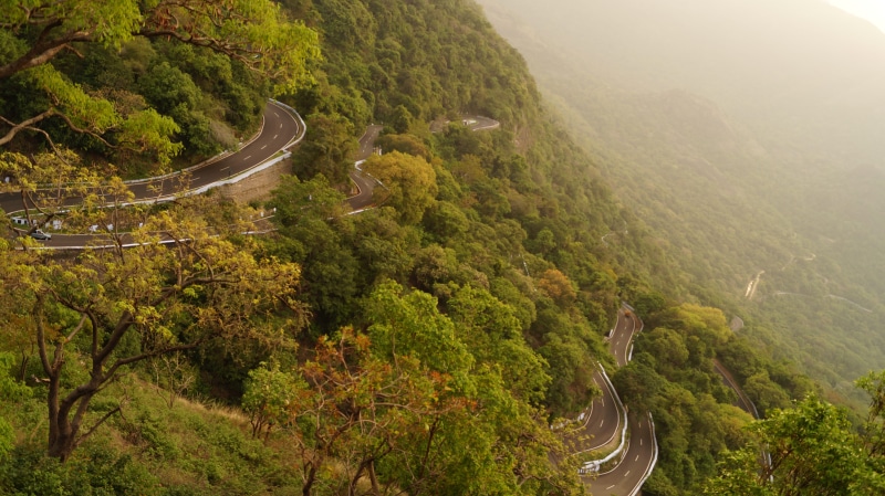 hillside, scenics - nature, high angle view, photo, forest, plant, hill, day, india, growth, tranquil scene, road, curve, landscape, outdoors, transportation