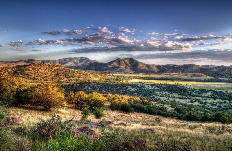 photo, trees, grave, near, mountains, marker, west, texas, hillside, nature and landscapes, 1080P, green, covered, plains