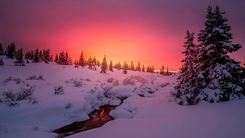 brook, orange sky, landscape, snowy, purple sky, creek, sunset, dawn, nature, tree, freezing, hillside, evening, runnel, fir, atmosphere, snow, 1080P