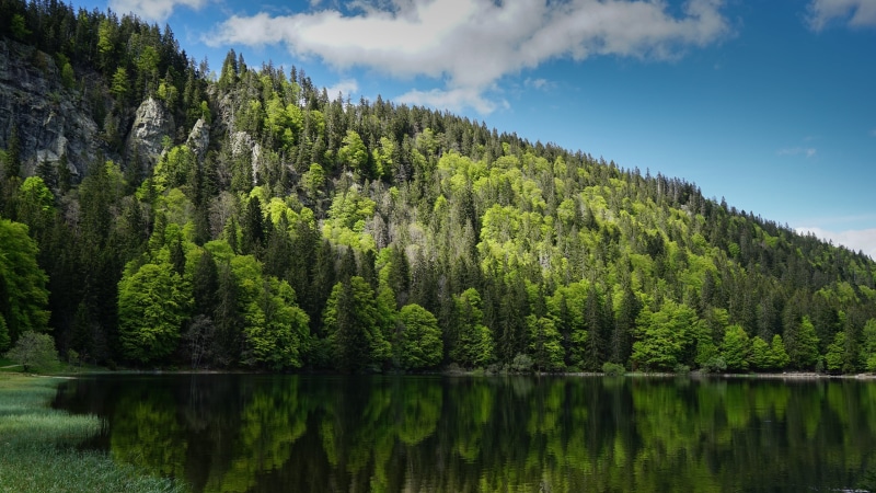 outdoors, mountain lake, idyllic, non-urban scene, hillside, scenics - nature, tranquility, lake, forest, tranquil scene, water, wilderness, cloud - sky