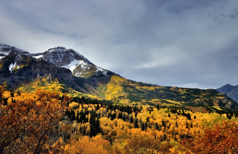 Central, NX2, Canvas, Aspen, snowy, forest, tree, Portfolio, sky landscape, Pro  Day, Mountain, beauty In Nature, Edited, Drive, Hillside, Leaves, autumn