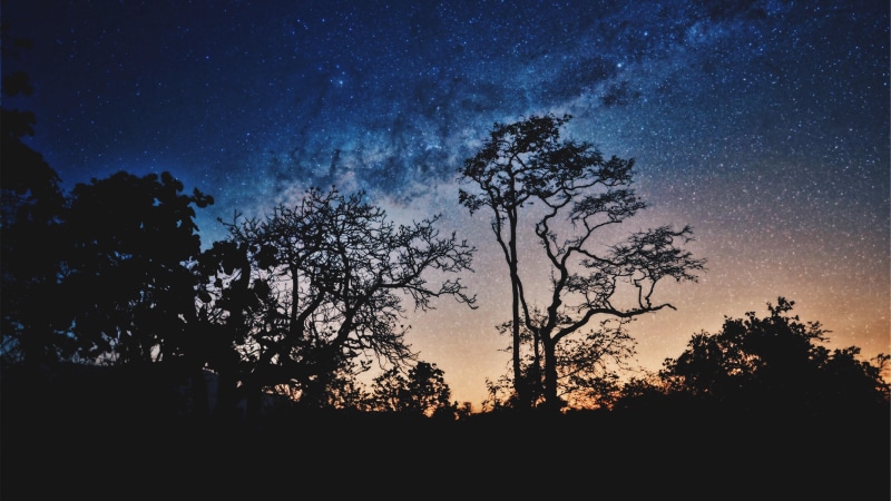 milky way, stars, starry night, starry, trees, sky, nigth, 4K