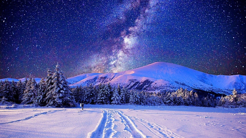 pine tree, road, coniferous tree, pine woodland, night, scene, sky, tranquility, snowcapped mountain, environment, field, scenics - nature, no people, fir tree