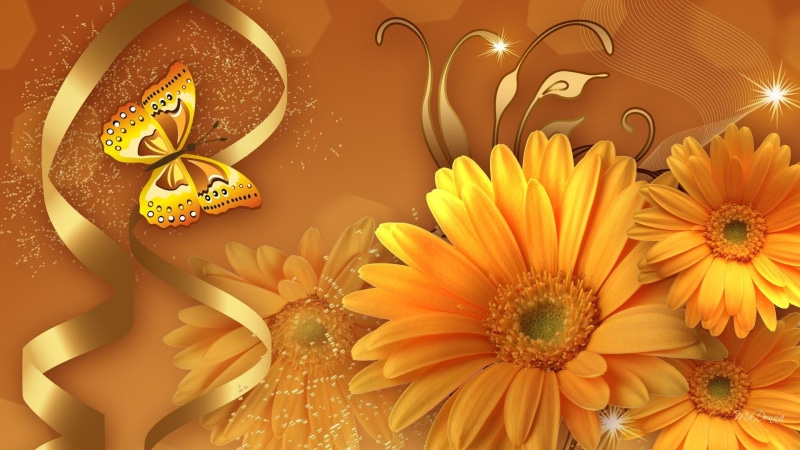 glitter, stars, remember, orange, swirl, gerbera, flowers, 1080P, gold, butterfly, firefox persona, fall, ribbon