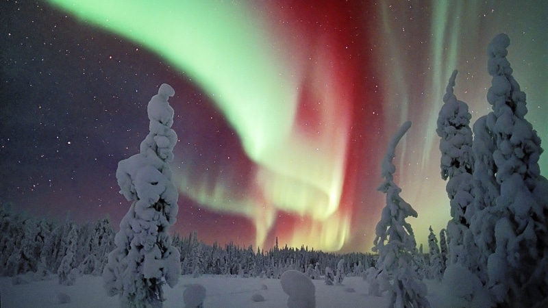 dramatic sky, tranquil scene, aurorae, borealis, aurora, sky, landscape, frozen, snow, nature, trees, majestic, natural phenomenon, no people, aurora polaris