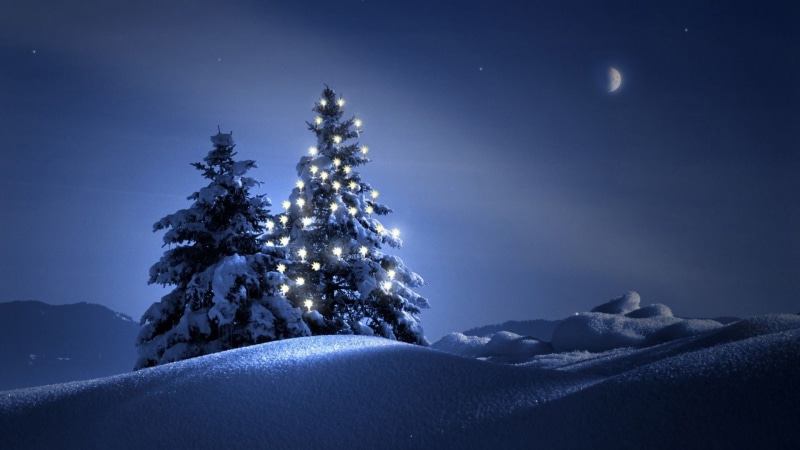 celebration, bright, holiday, blue, pine tree, cold temperature, night, winter, full moon, coniferous tree, scenics - nature, 1080P, snowcapped mountain