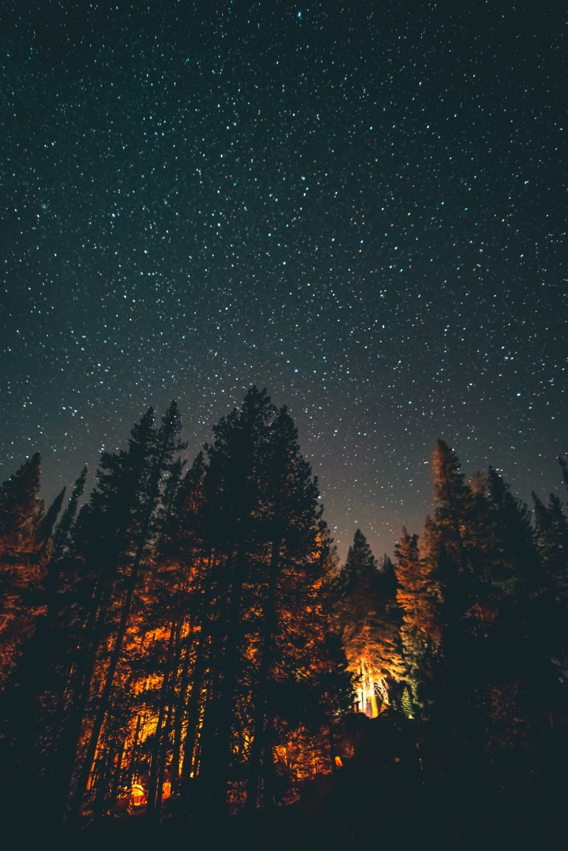 adventure, astronomy, night, milky Way, pine Tree, fire, constellation, galaxy, sky, scenics, winter, wanderlust, moody, christmas, illuminated, dark, fir Tree