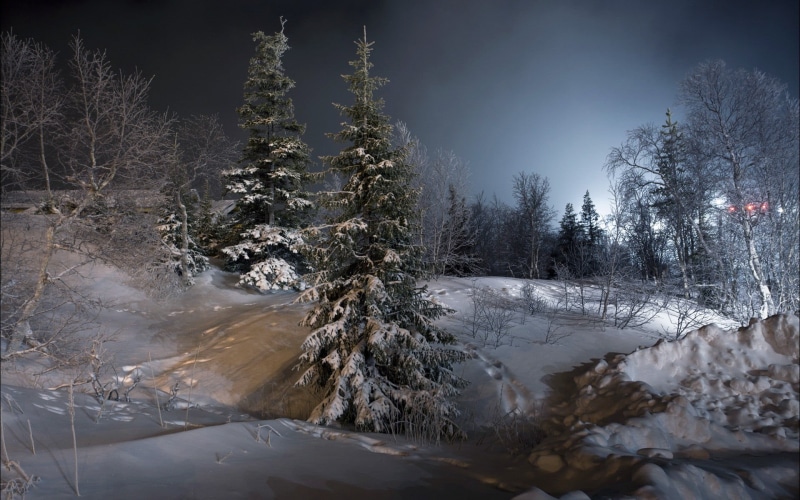 covering, non-urban scene, covered, environment, ice, night, sky, snow, cold temperature, nature, 1080P, scenics - nature, tranquility, tree, beauty in nature